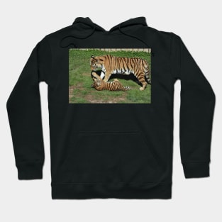 Tiger Cub and Mom Hoodie